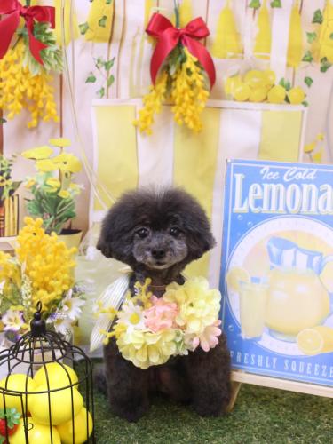 20240417NEROちゃん